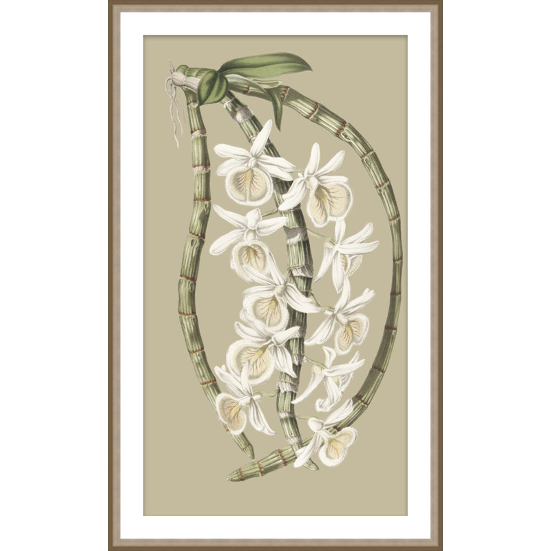 Jungle Flora 1 Print, 51.75" H x 30.75" W