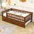 Alene Daybed with Trundle-59747865-59747867