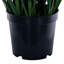  48" Potted Green/Brown Switchgrass.-224416950