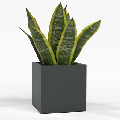 Greenline Fiberglass Jack Small Indoor/Outdoor Square Cube Planter - 7 in x 7 in x 7 in -