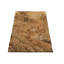 Silk Animal Print Area Rug