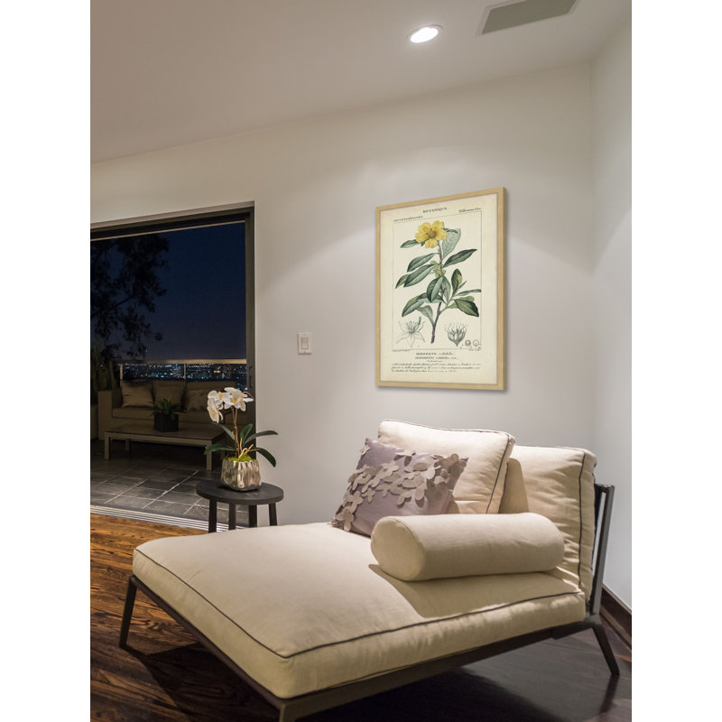 «Botanique Study in Yellow I», reproduction d'impression encadrée, H 24 po x l 16 po x P 1,5 po