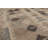 Kirthika Wool Southwestern Indoor / Outdoor Rug
