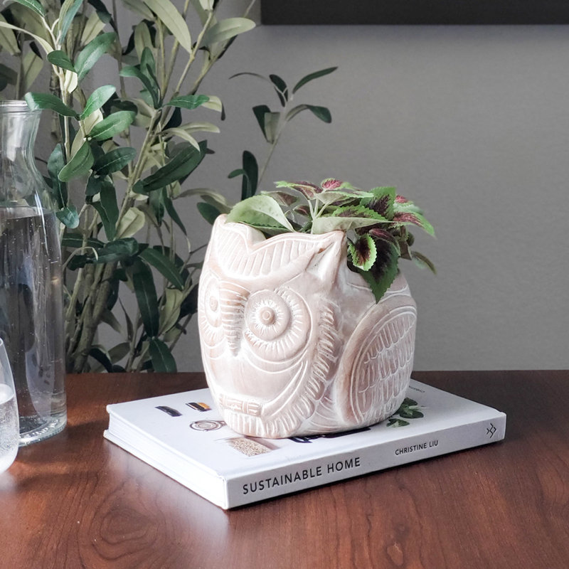 Arceo Handmade Pot Planter