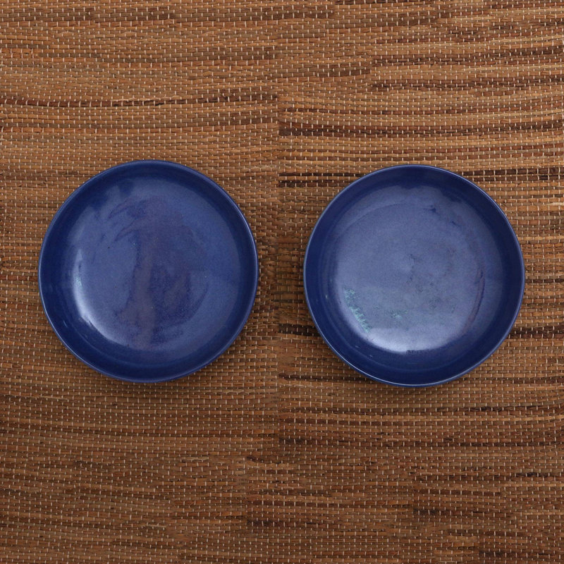 Ensemble de 2 bols décoratifs ronds en céramique bleu marine