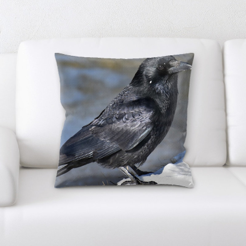 Coussin raven commun