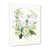 Cadre simple blanc