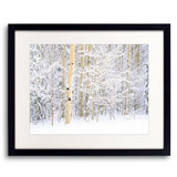 Winter Aspen Grove Portrait Print by Bruce Heinemann