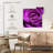 Harnek Purple Rose-109041118