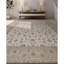 Wool Oriental Area Rug