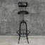 Salzmann Swivel Adjustable Height Counter Stool with Metal Frame-1940111795