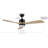 Fellman 52'' Ceiling Fan with LED Lights