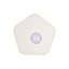 Flush Mount
