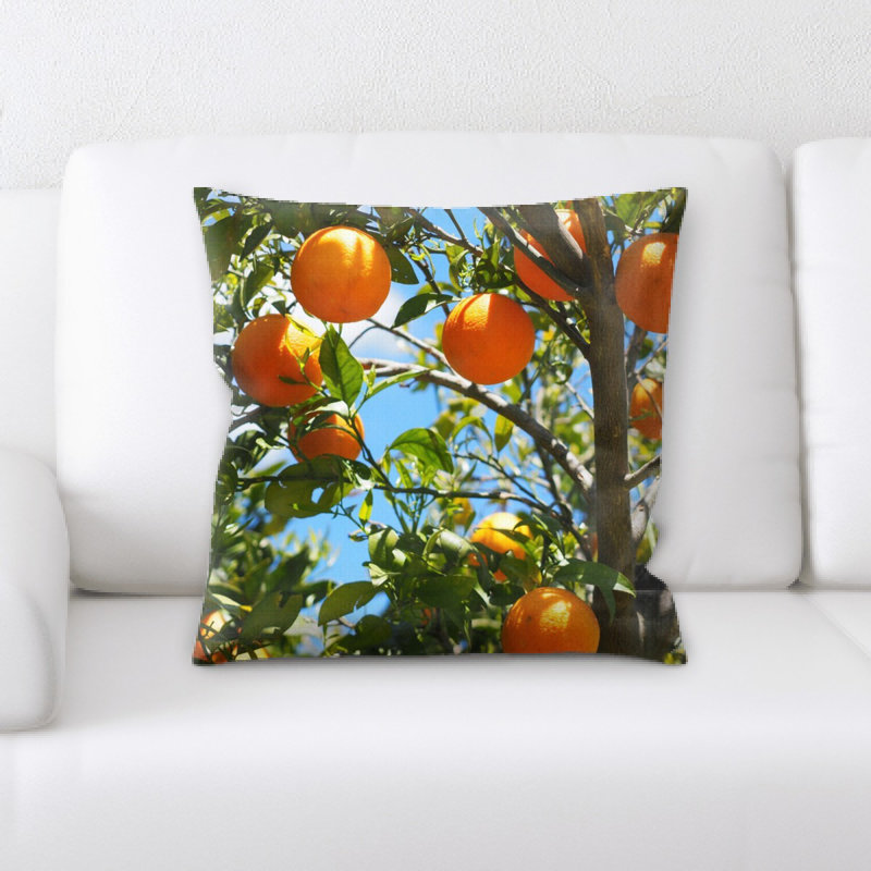 Coussin oranges
