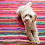 Multicoloured Recycled Rag Rug