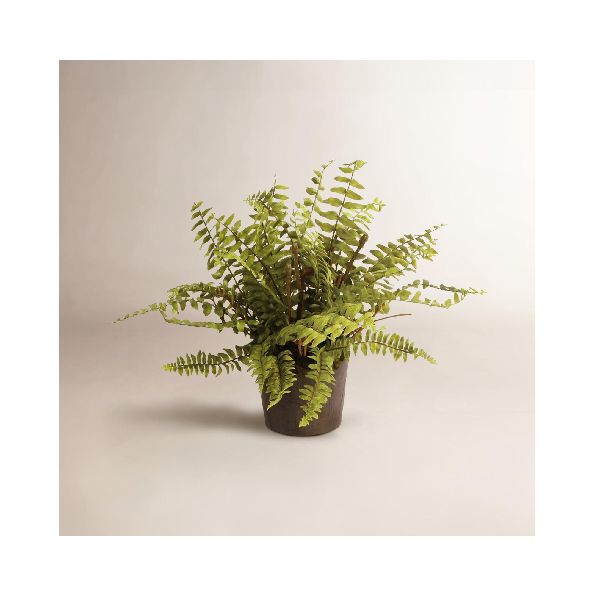 Analea Fern Drop-In Faux Plant, 12" H x 12" W x 12" D