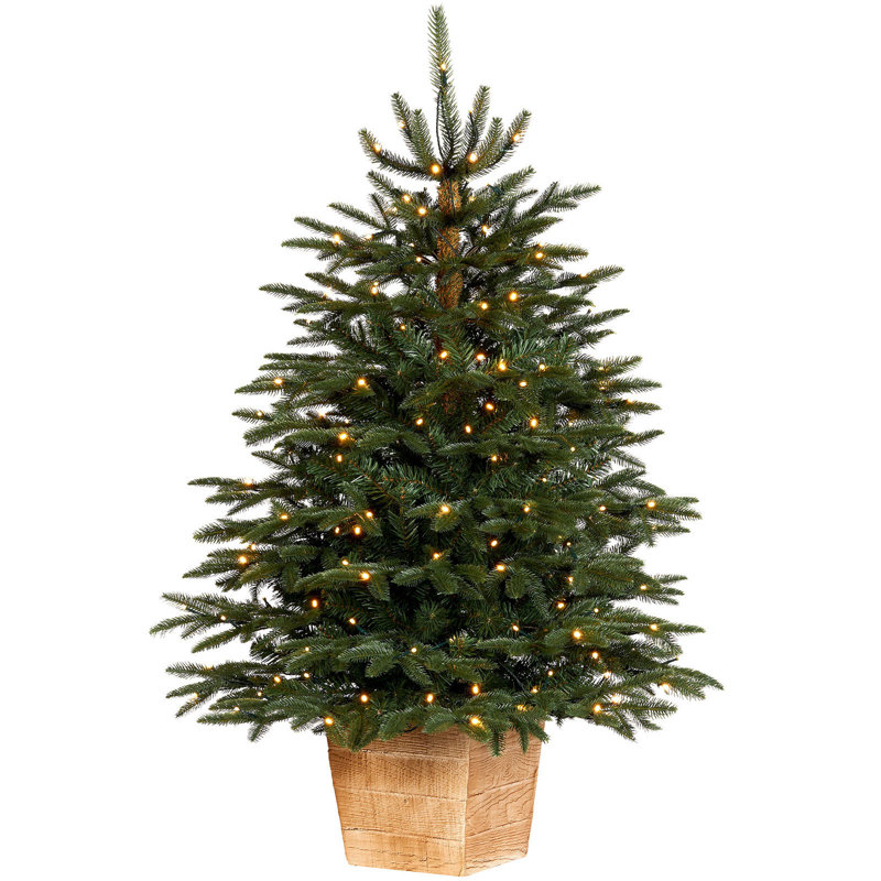 121.92cm H Lighted Artificial Fir Christmas Tree