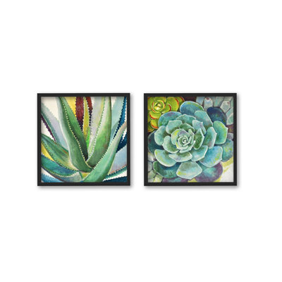 «Brilliant Succulents I / II» par Norman Wyatt Jr. - Ensemble d'impressions sur toile tendue