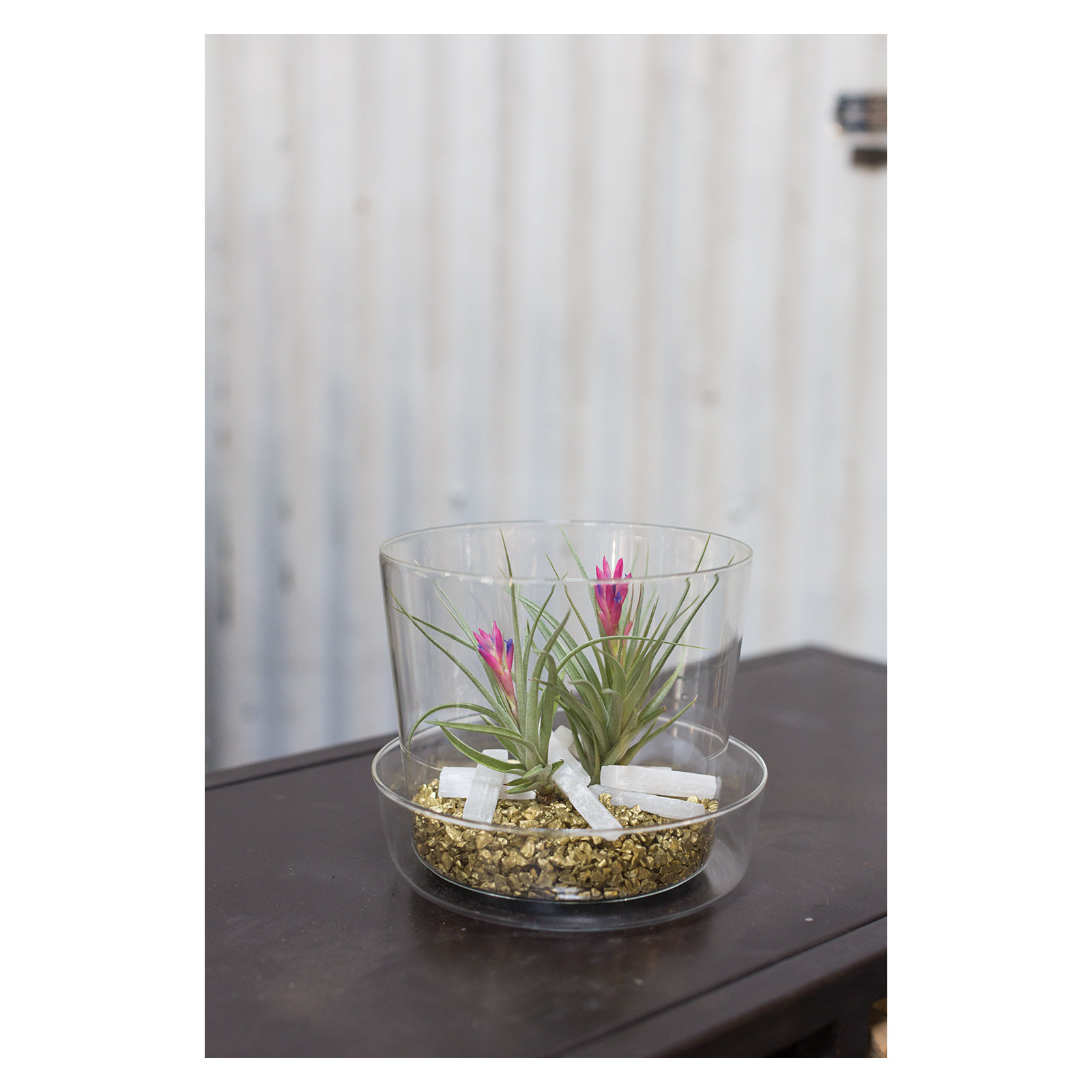 Anaveah Handmade Glass Pot Planter, 5" H x 6.25" W x 6.25" D