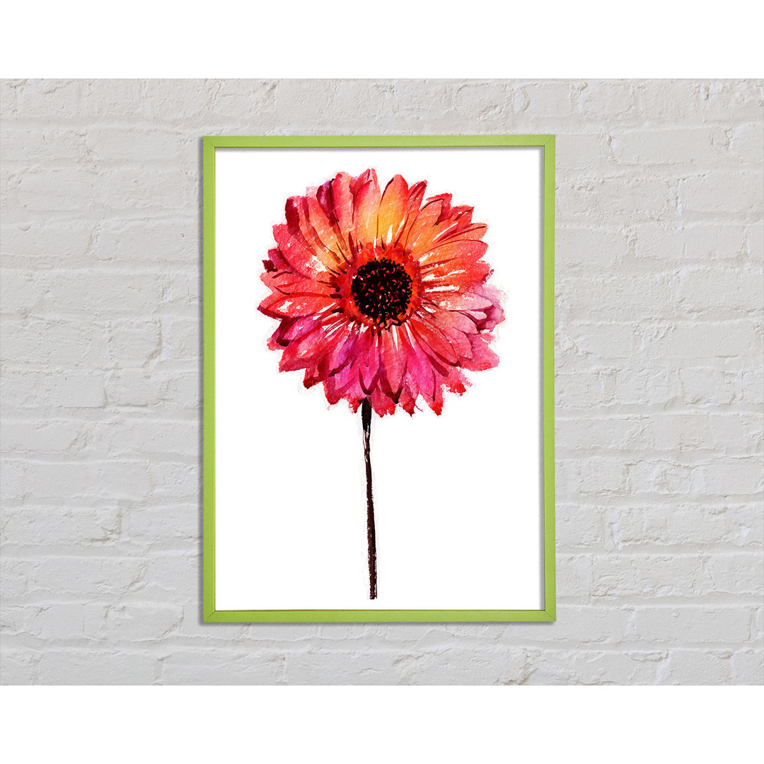 Crowthorne Gerbera Pinks - Einzelner Bilderrahmen Kunstdrucke