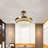 Faruq 42'' Ceiling Fan with LED Lights