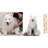Outdoor Cotton Blend Pet Blanket-79779909