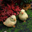 Simulation de Pâques Décoration de poules Mignonnes décorations de poulets-354489455