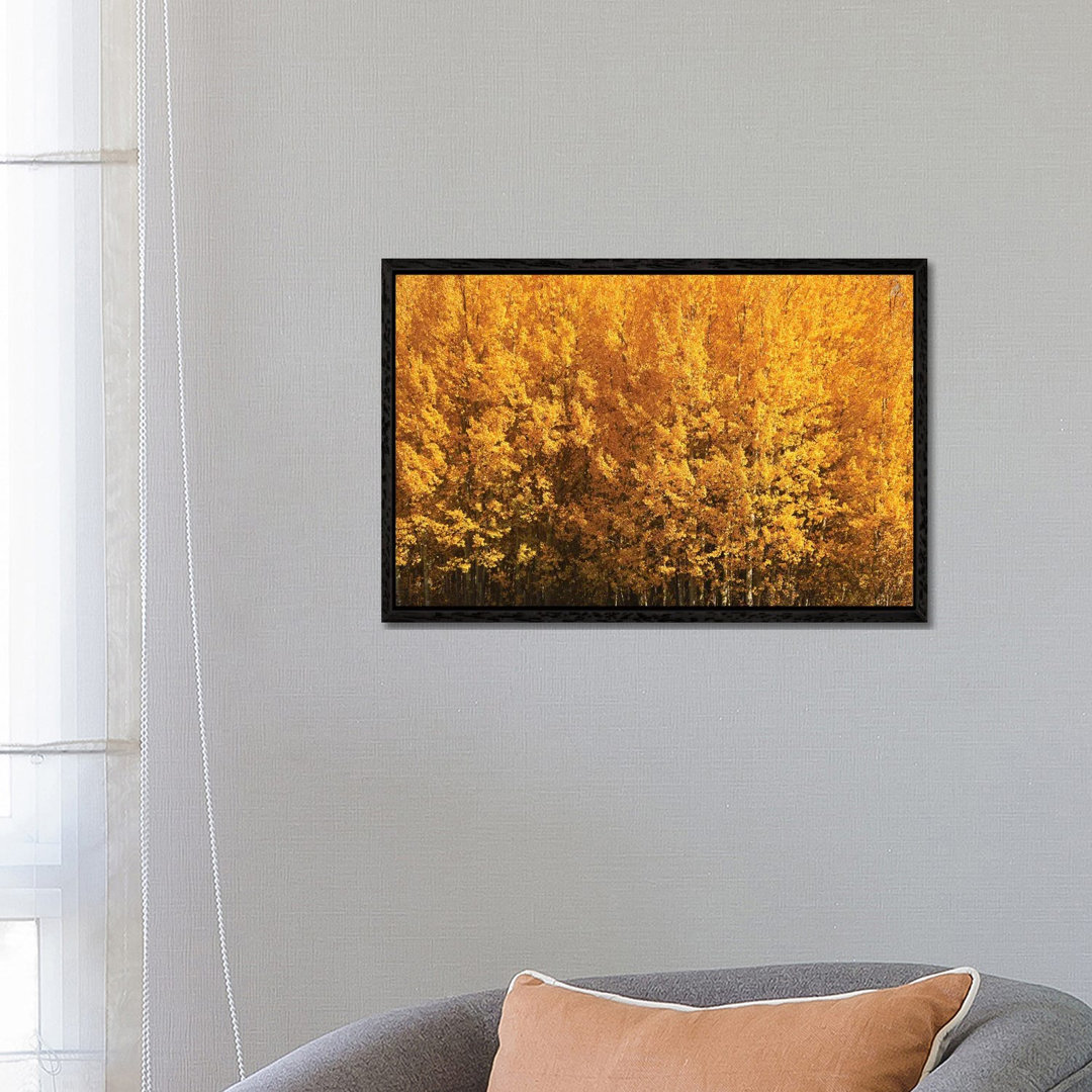 Aspen Gold von Brian Wolf - Galerie-verpackte Leinwand Giclée auf Leinwand