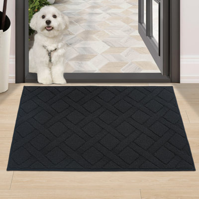 Non-Slip Indoor Doormat