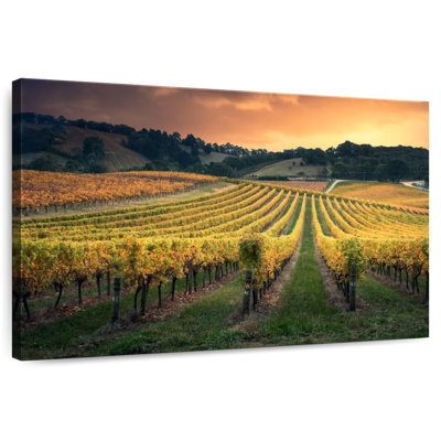 Alvord Golden Australian Vineyard