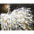Abstract Peacock Bird Placemat | Braided Polyester Home Decor