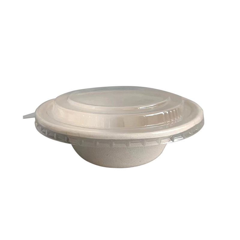 Boîte à lunch jetable Boîte à lunch jetable Boîte à lunch biodégradable Boîte à lunch micro-ondes, B