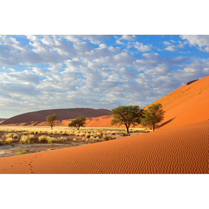 Sossusvlei Landscape, Namibia by EcoPic - Wrapped Canvas Print, 61cm H x 91cm W x 3.8cm D