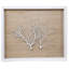 Sealife Framed Graphic Art