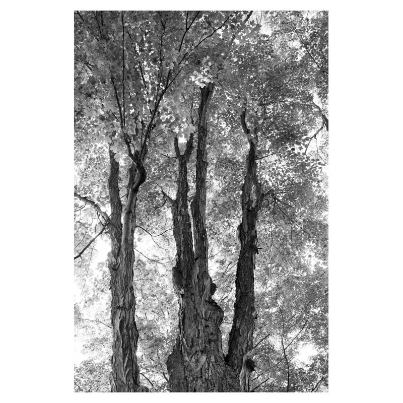 Tenez-vous debout I avec bordure, H 36 po x l 24 po x P 1,25 po