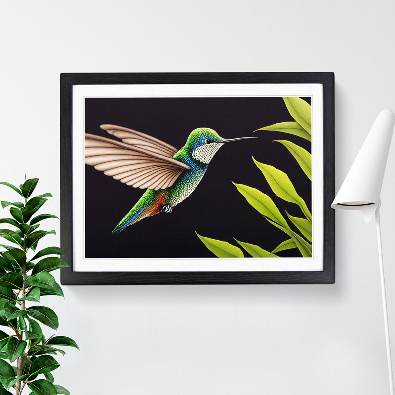 Beguiling Hummingbird - Single Picture Frame Print, 34cm H x 46cm W x 2cm D, Black Frame