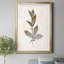 Bronze Leaf II - Reproduction d'art sur papier encadrée-798495670-798495668