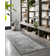 Sagefield Oriental Indoor Rug