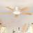 Karlena 52'' Ceiling Fan With Led Lights And Remote Control-1728237030