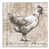 Toile tendue