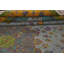 Tapis unique en laine noué à la main 9 pi 10 po x 13 pi 1 po New Age gris / gris anthracite