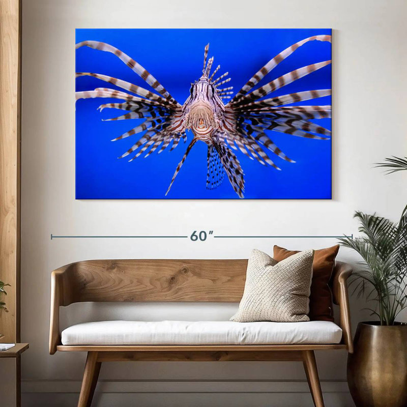 Crowle Lionfish Close Up, 34" H x 51" W