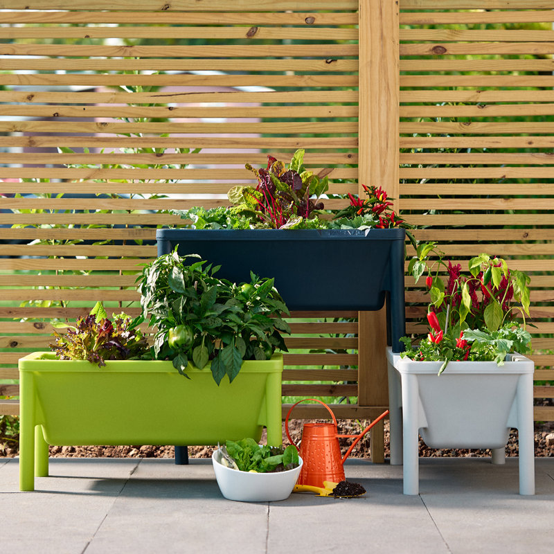 Lit de jardin surélevé Nedelea, Avocat