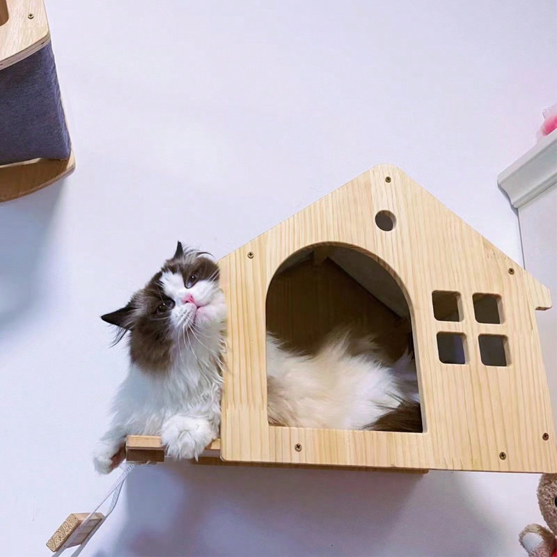 Maison pour chat Geontae
