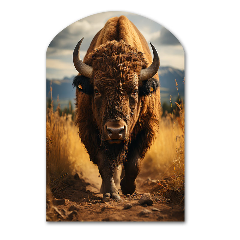 Eneas - Arch Bison, impression murale de sculpture en métal asymétrique, H 43 po x l 33 po