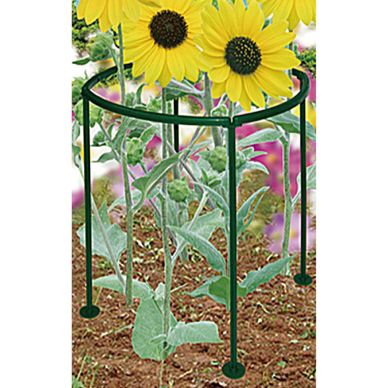 Support pour plante
