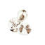 Faune & Flore Piece Ceramic Dinnerware Set - Service for 4
