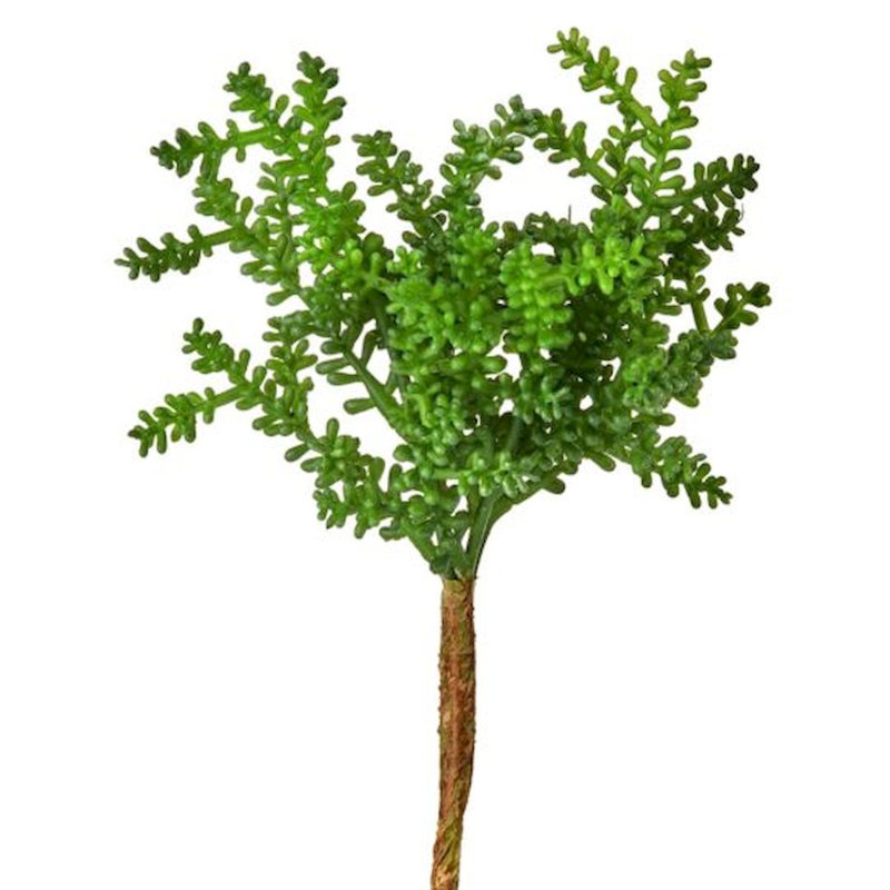 Fausse plante et arbres Baby Tear