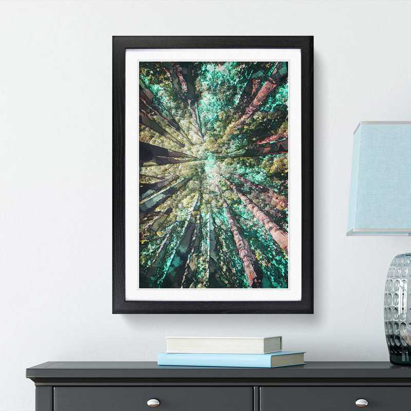 Redwood Trees in California in Abstract - Picture Frame Graphic Art Print, Black Framed, 36cm H x 27cm W x 2cm D