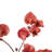 Preserved Cara Blossom Arrangement-94734865